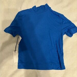 Aritzia Babaton blue t-shirt